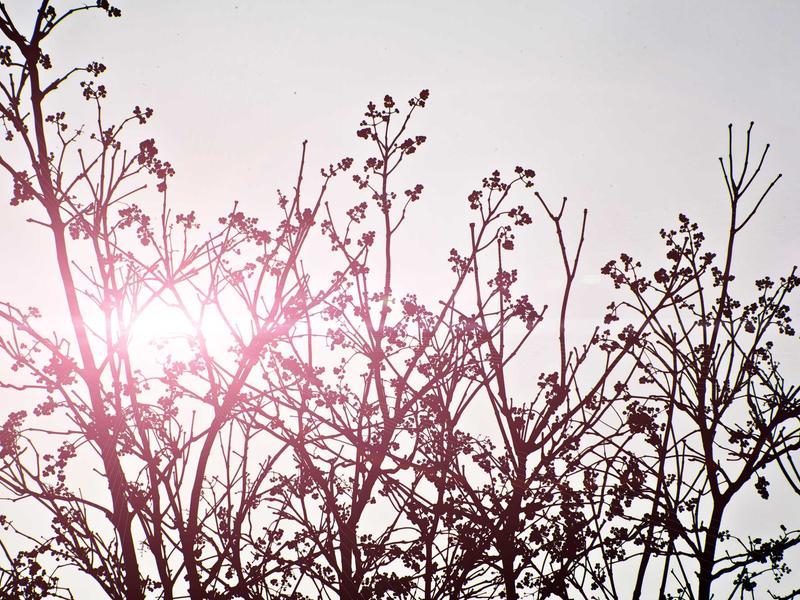 sudoku number pad screenshot 1