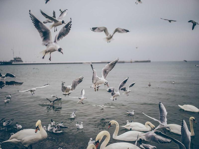 sudoku number pad screenshot 2